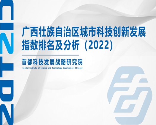 逼好痒，想让男人尻【成果发布】广西壮族自治区城市科技创新发展指数排名及分析（2022）